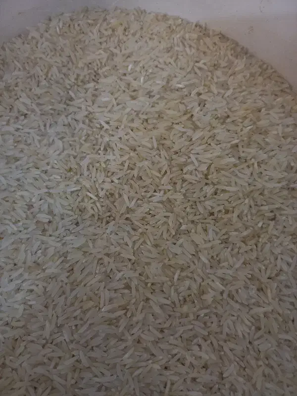 فروش برنج فجر کیلویی ۱۷۵|خوردنی و آشامیدنی|گرگان, |دیوار