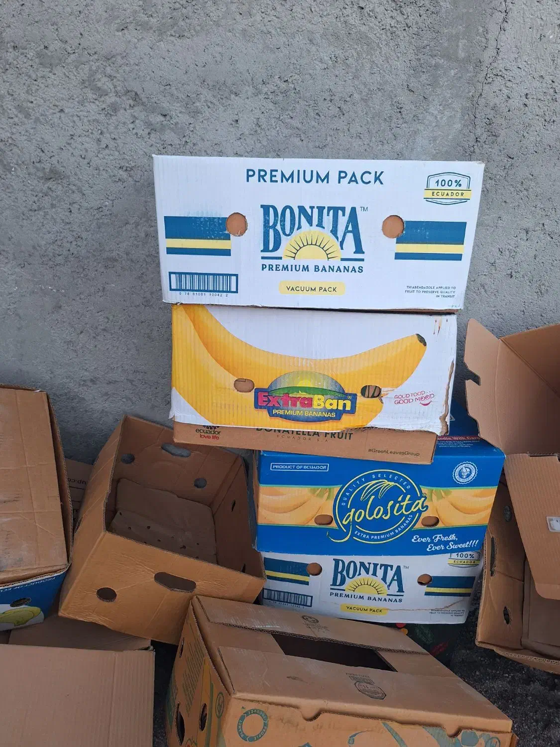 کارتن موز|حراج|ورزقان, |دیوار