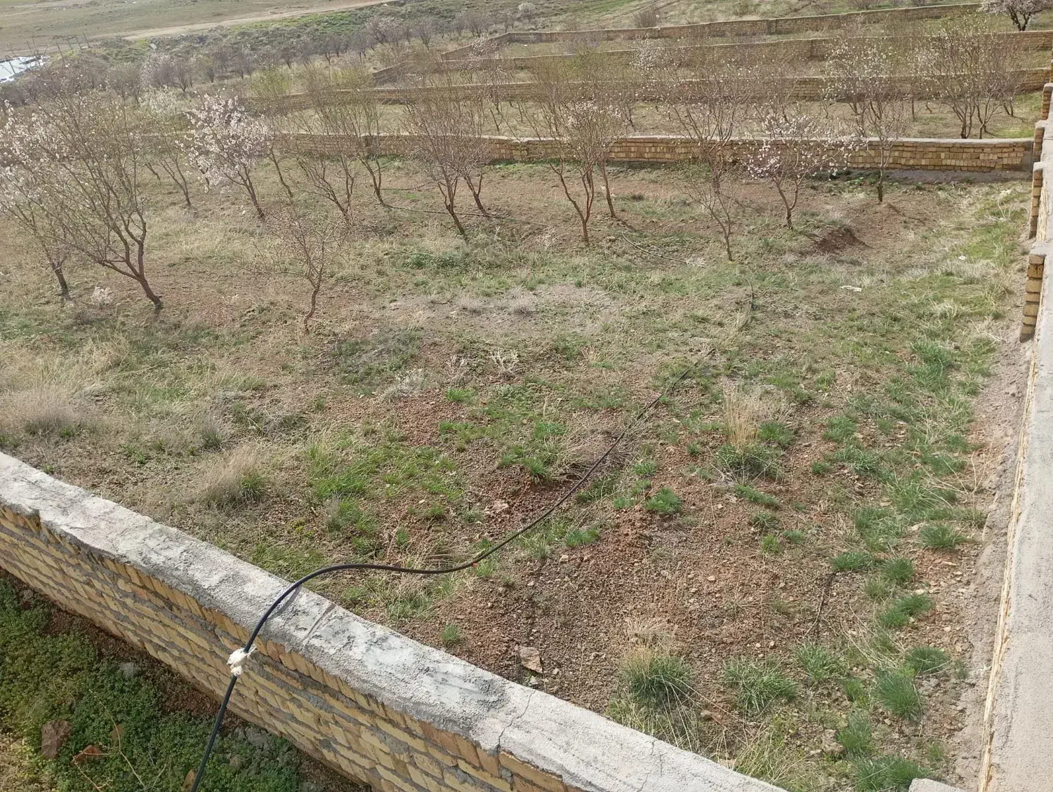 فروش زمین مسکونی ۶۵۰ متری چرگر|فروش زمین و ملک کلنگی|صائین قلعه, |دیوار