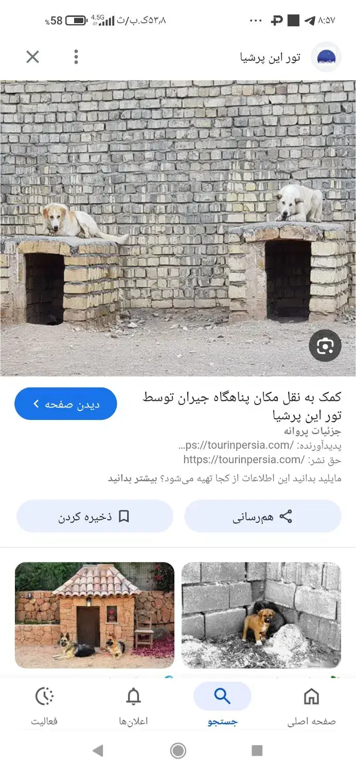 ساخت لانه سگ در باغ|خدمات پیشه و مهارت|مشهد, کوه سنگی|دیوار
