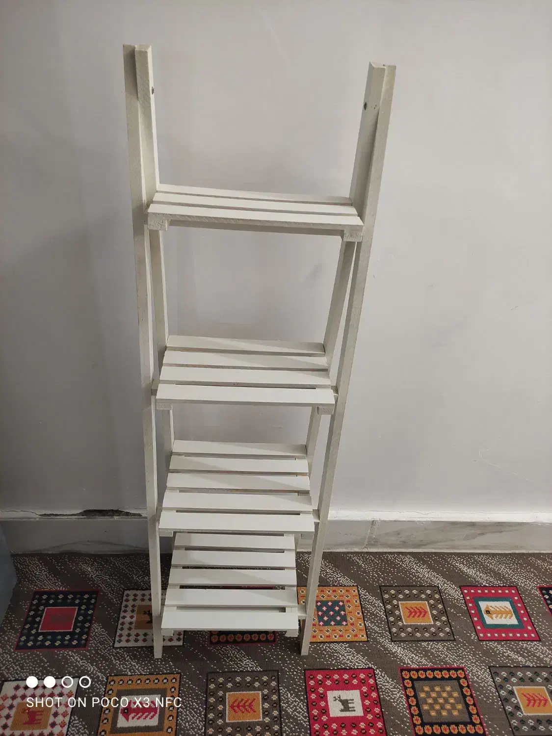 پایه گلدون|گل و گیاه طبیعی|زاهدان, |دیوار