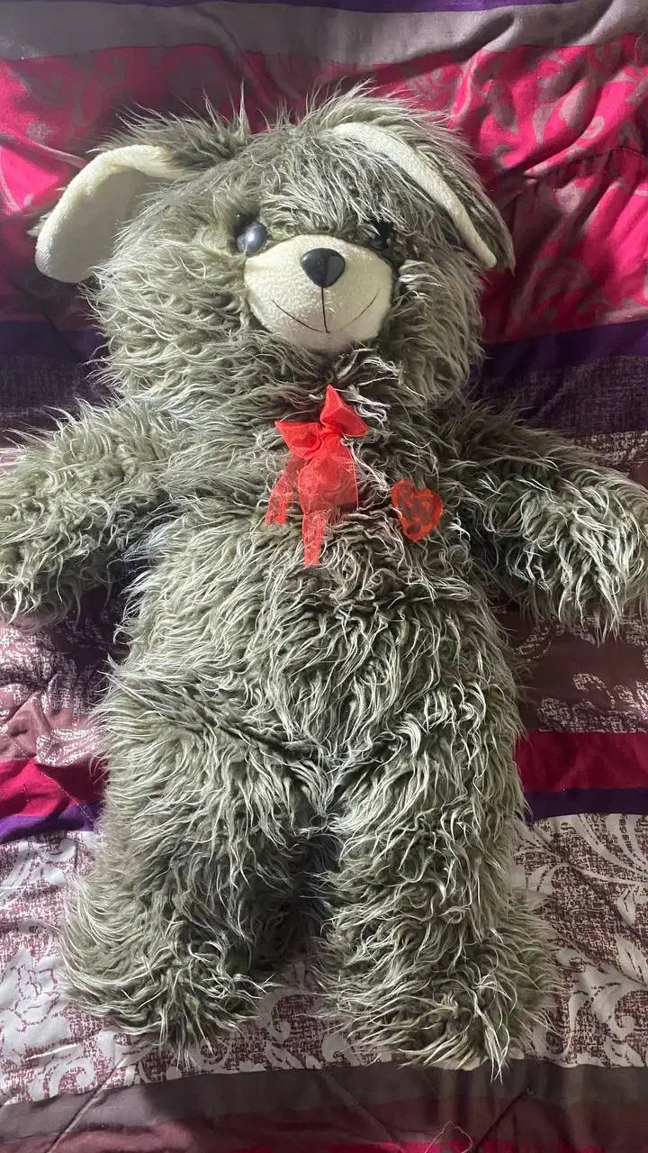 عروسک خرسی بزرگ|اسباببازی بچه|بومهن, |دیوار