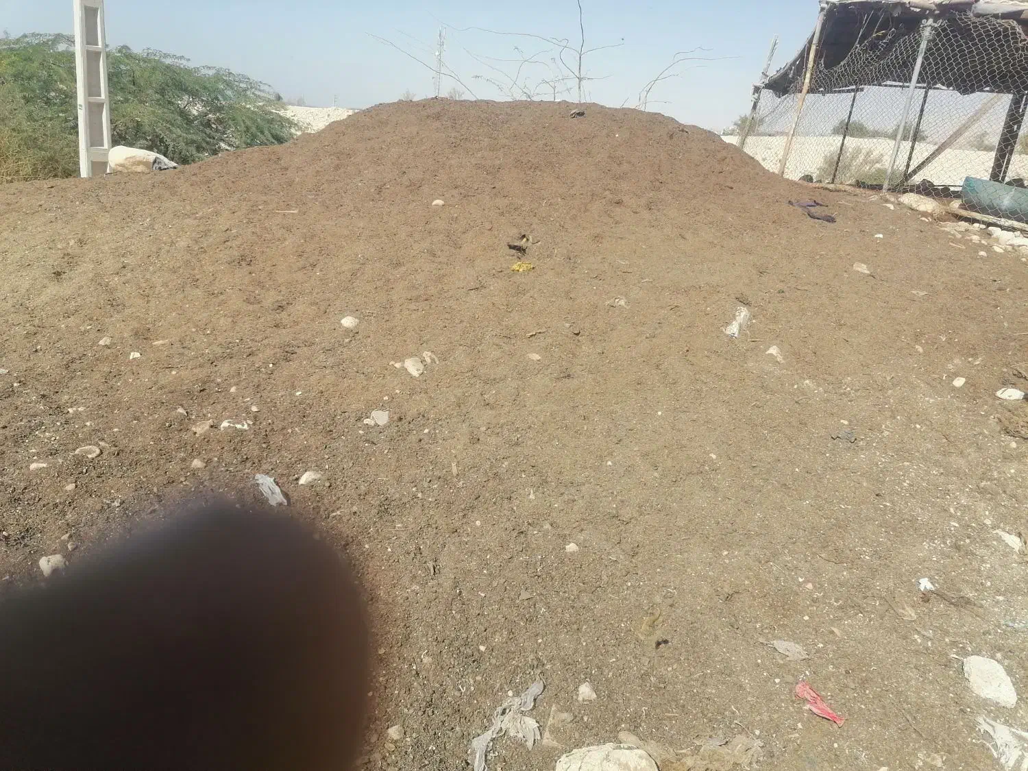 کودحیوانی|خدمات باغبانی و درختکاری|بندر کنگان, |دیوار