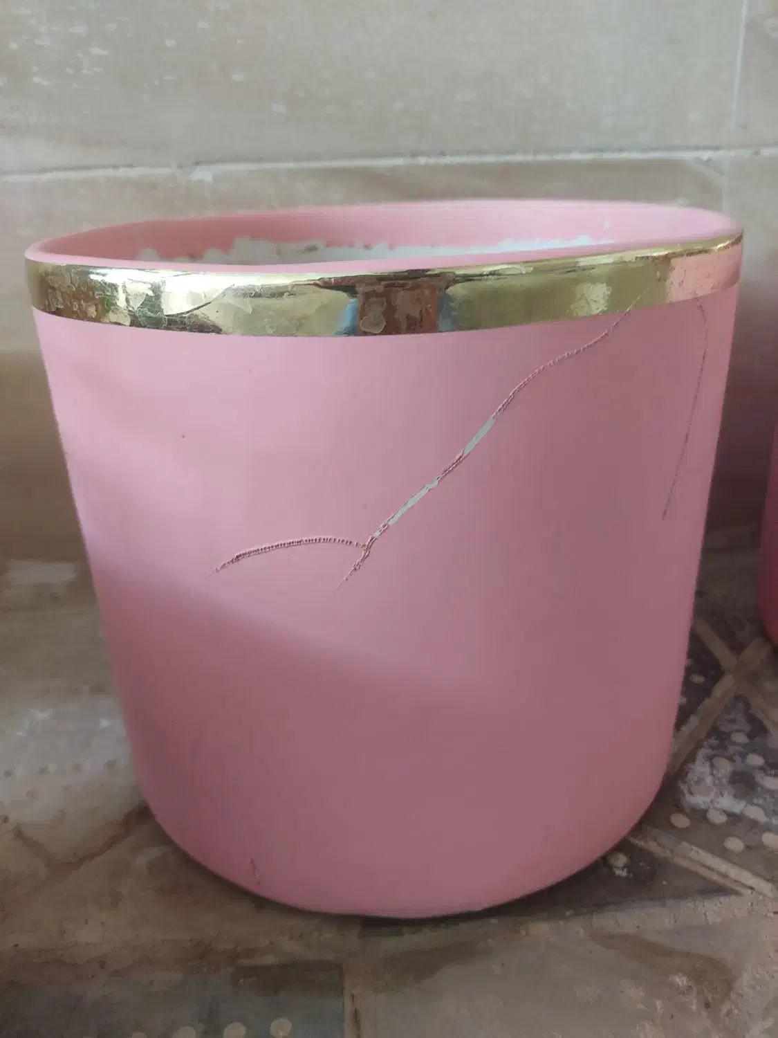 گلدان فانتزی و گل طبیعی|گل و گیاه طبیعی|تربت‌حیدریه, شهرک ولیعصر|دیوار