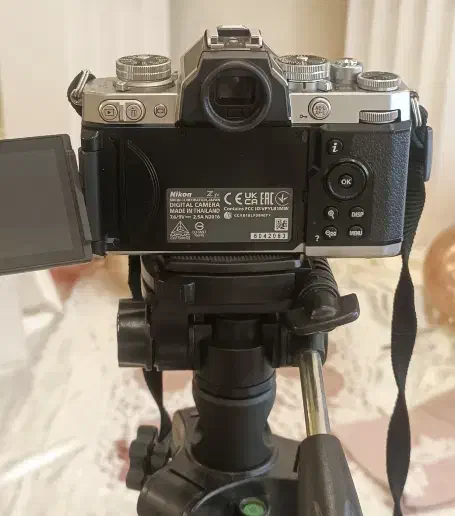 عکاسی|خدمات پذیرایی، مراسم|ماسال, |دیوار