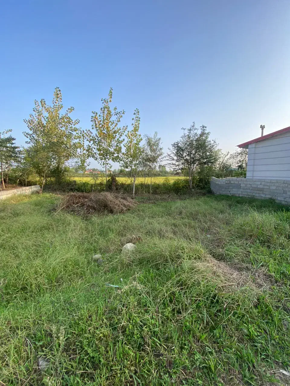 200مترشهری مسکونی خیابان سردار جنگل950 950جنگل|فروش زمین و ملک کلنگی|رضوانشهر, |دیوار