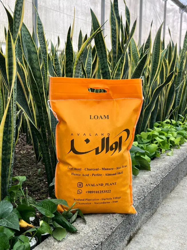 فروش خاک گلدان و خاک‌ باغچه|خدمات باغبانی و درختکاری|چمستان, |دیوار