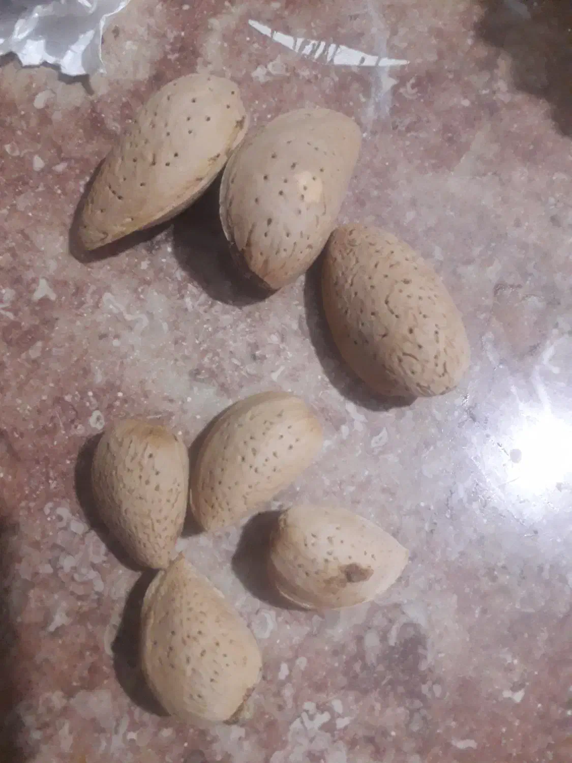 محصولات خانگی|حراج|سلماس, |دیوار