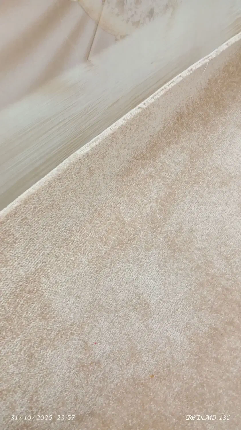 پالاز|موکت|بیرجند, |دیوار