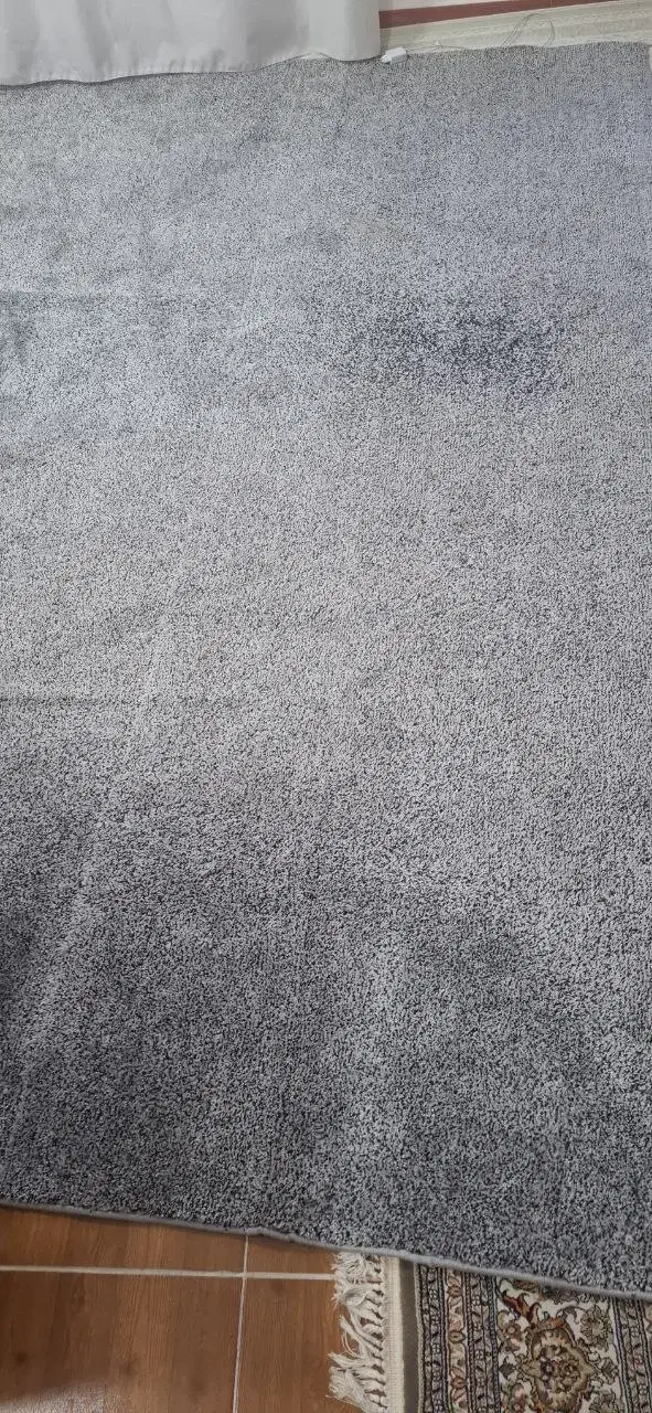 فرش ۱۲۰۰شانه 8میلیوتپالازموکت رنگ کرم1 وطوسی1500|فرش|مهاباد (آذربایجان غربی), |دیوار