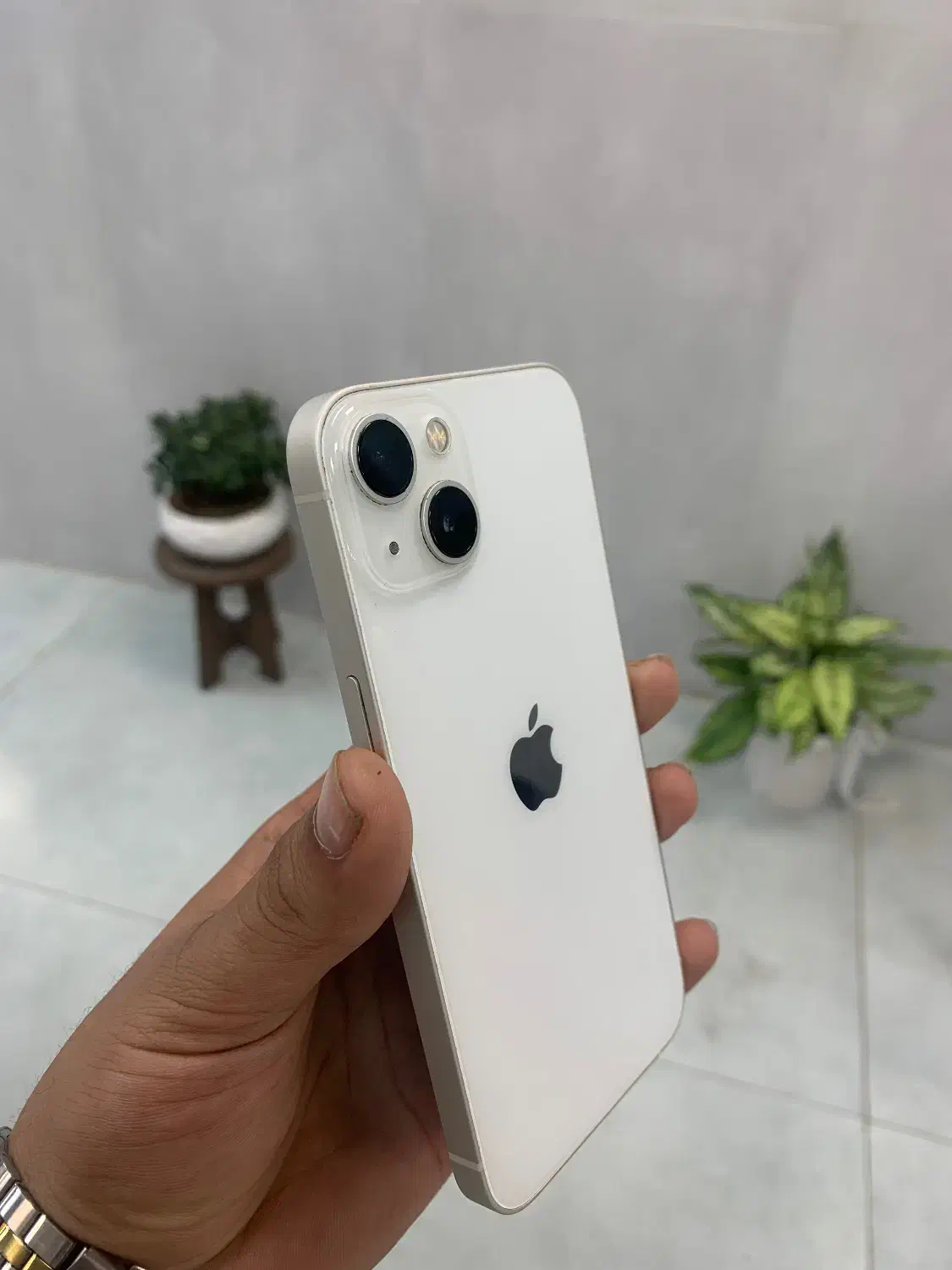 iPhone 13 normal|موبایل|تالش, هشتپر|دیوار