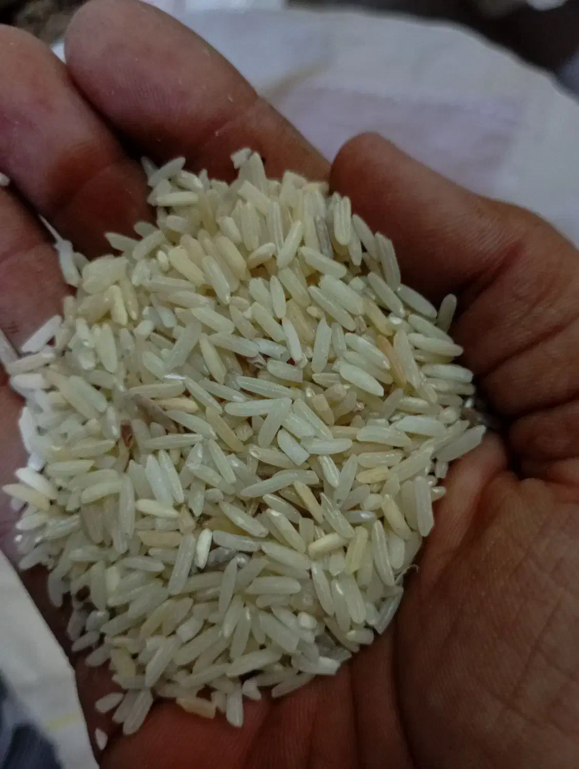 برنج|خوردنی و آشامیدنی|قشم, |دیوار