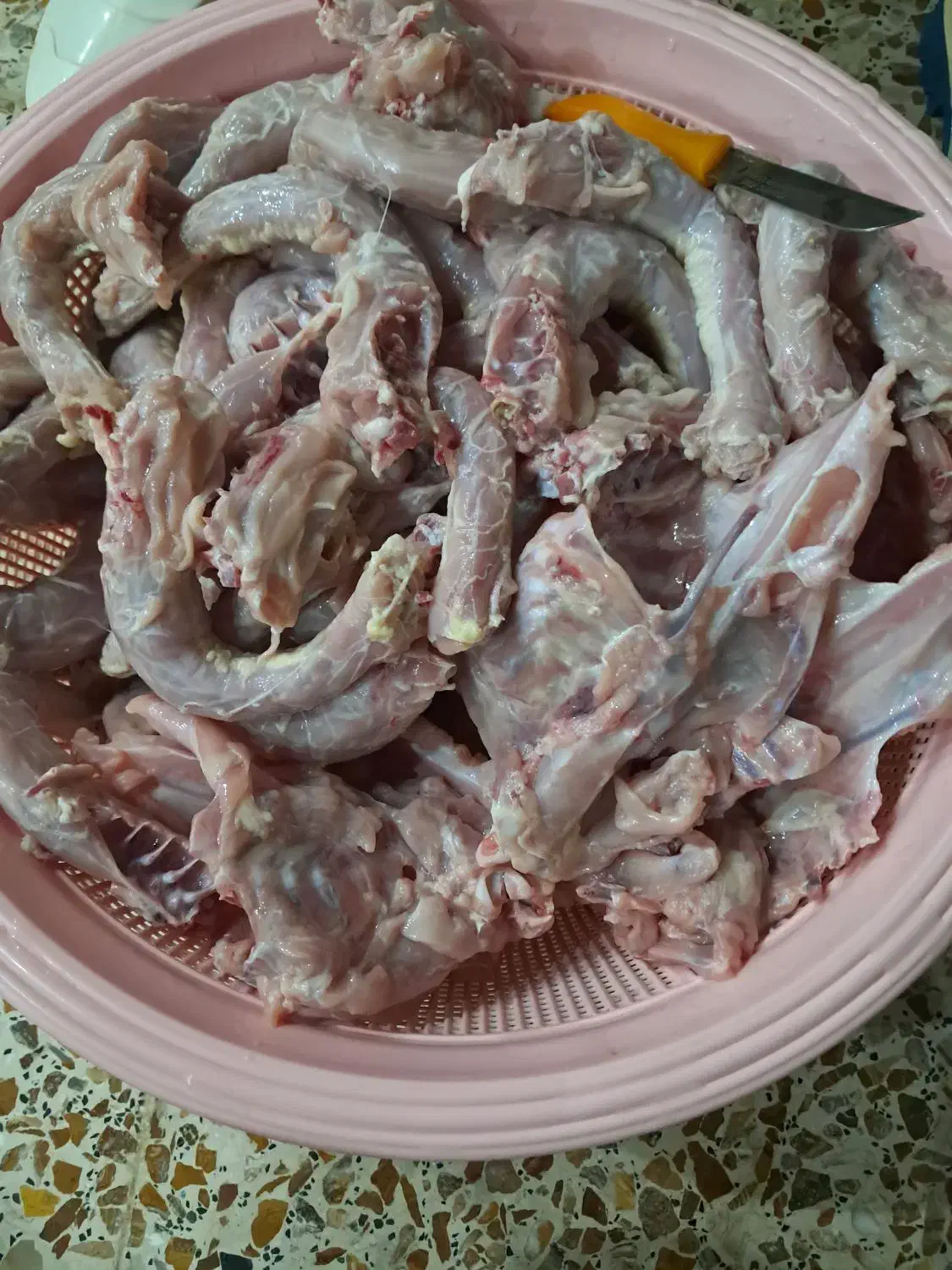 اسکلت و گردن تازه زیر قیمت|خوردنی و آشامیدنی|مسجد سلیمان, |دیوار