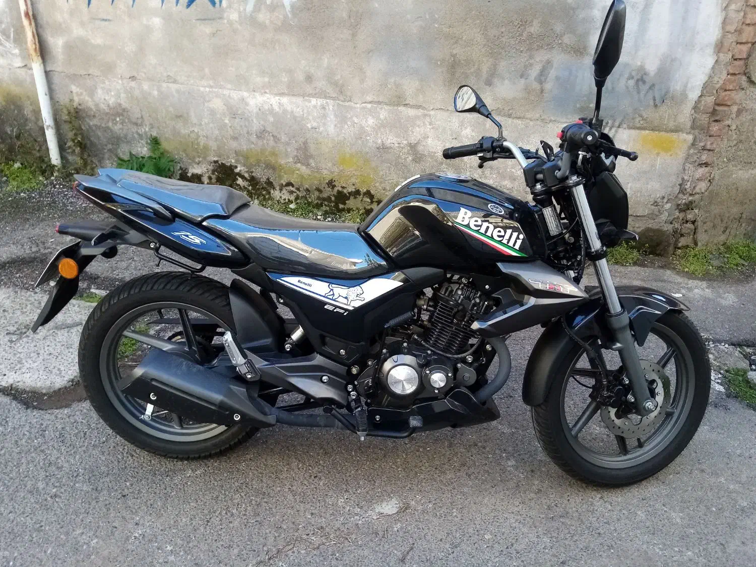 بنلی تی ان تی 15 در حد صفر خشک|موتورسیکلت|رشت, منظریه|دیوار