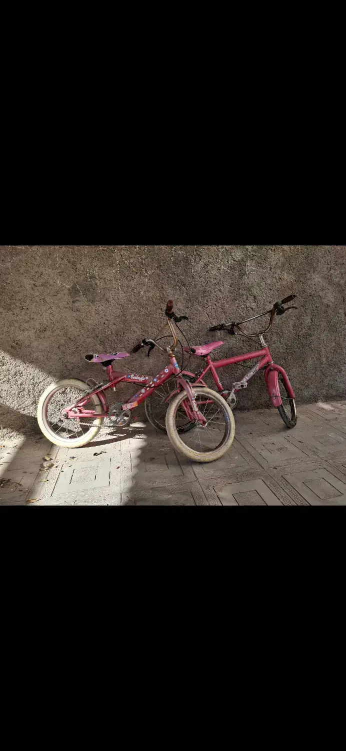 دوچرخه|دوچرخه، اسکیت، اسکوتر|داراب, |دیوار