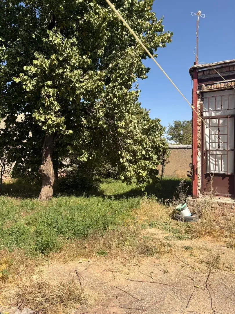 خانه باغ|فروش خانه و ویلا|شیروان (لرستان), |دیوار