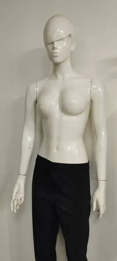 مانکن زنانه|فروشگاه و مغازه|تهران, ایرانشهر|دیوار