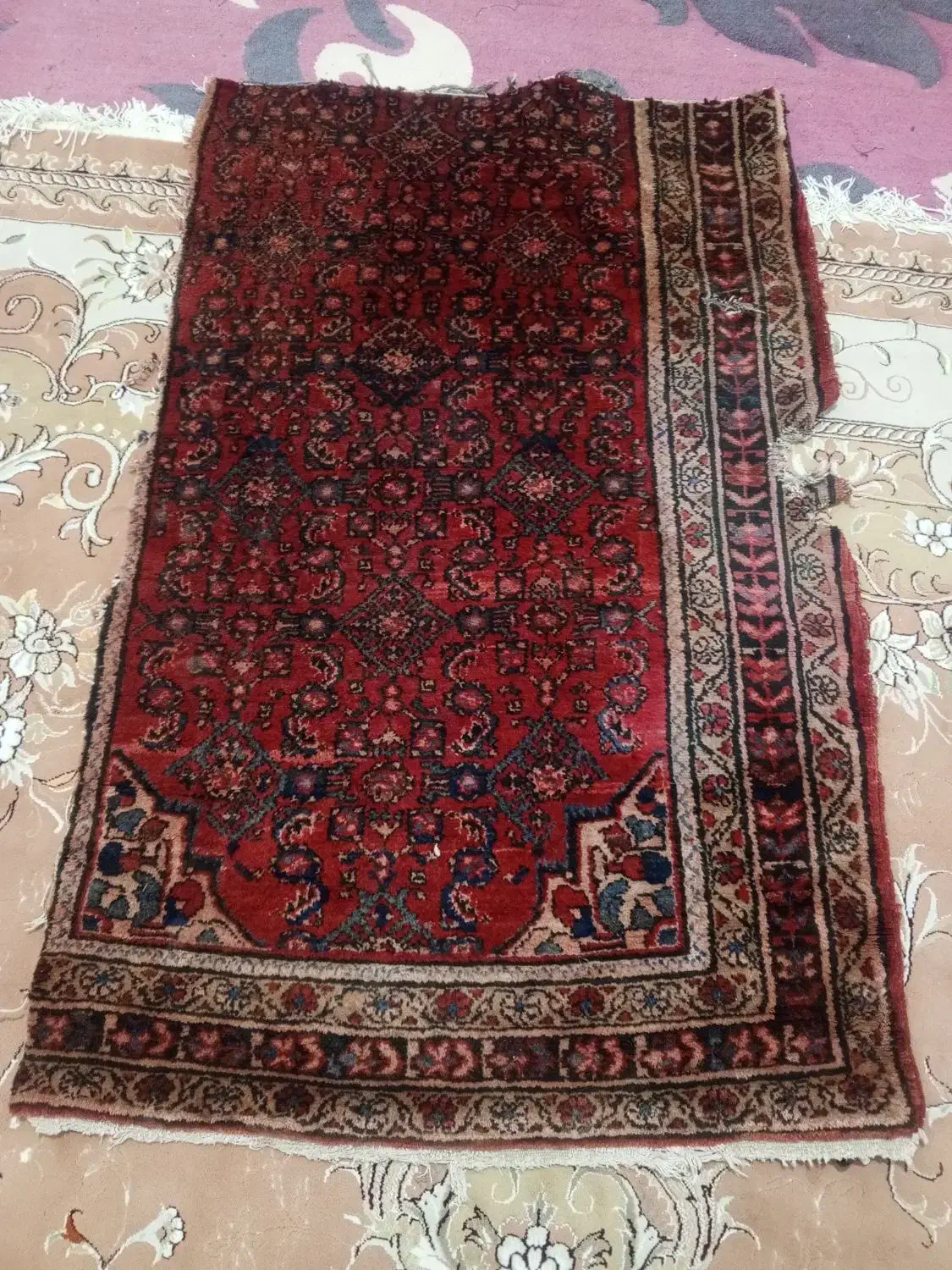 فرض دست بافت|فرش|کرمانشاه, |دیوار