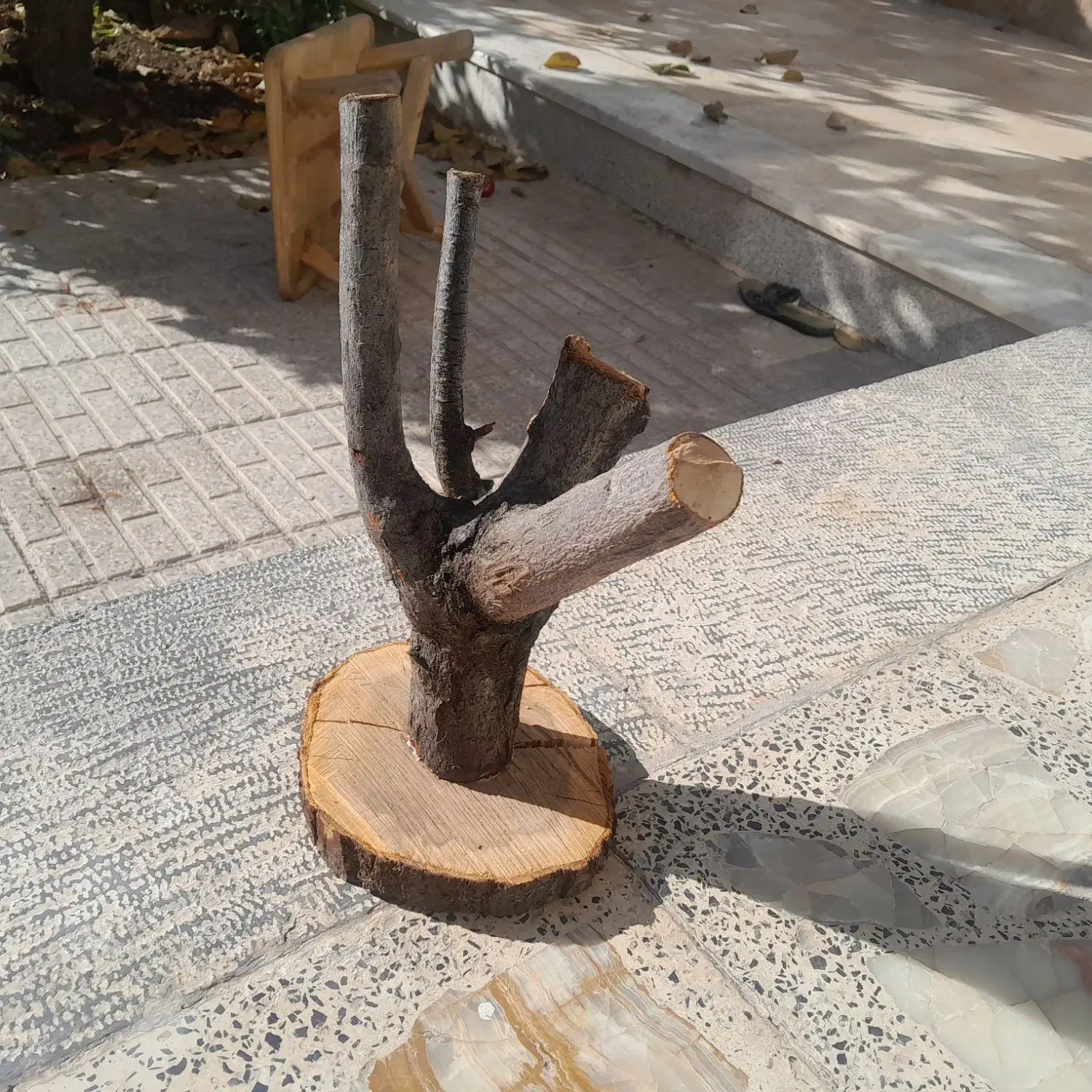 استند پرنده|لوازم جانبی حیوانات|نجف‌آباد, قلعه سفید|دیوار