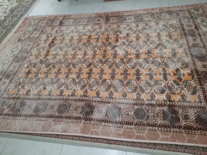 فرش|فرش|اصفهان, دانشگاه اصفهان|دیوار