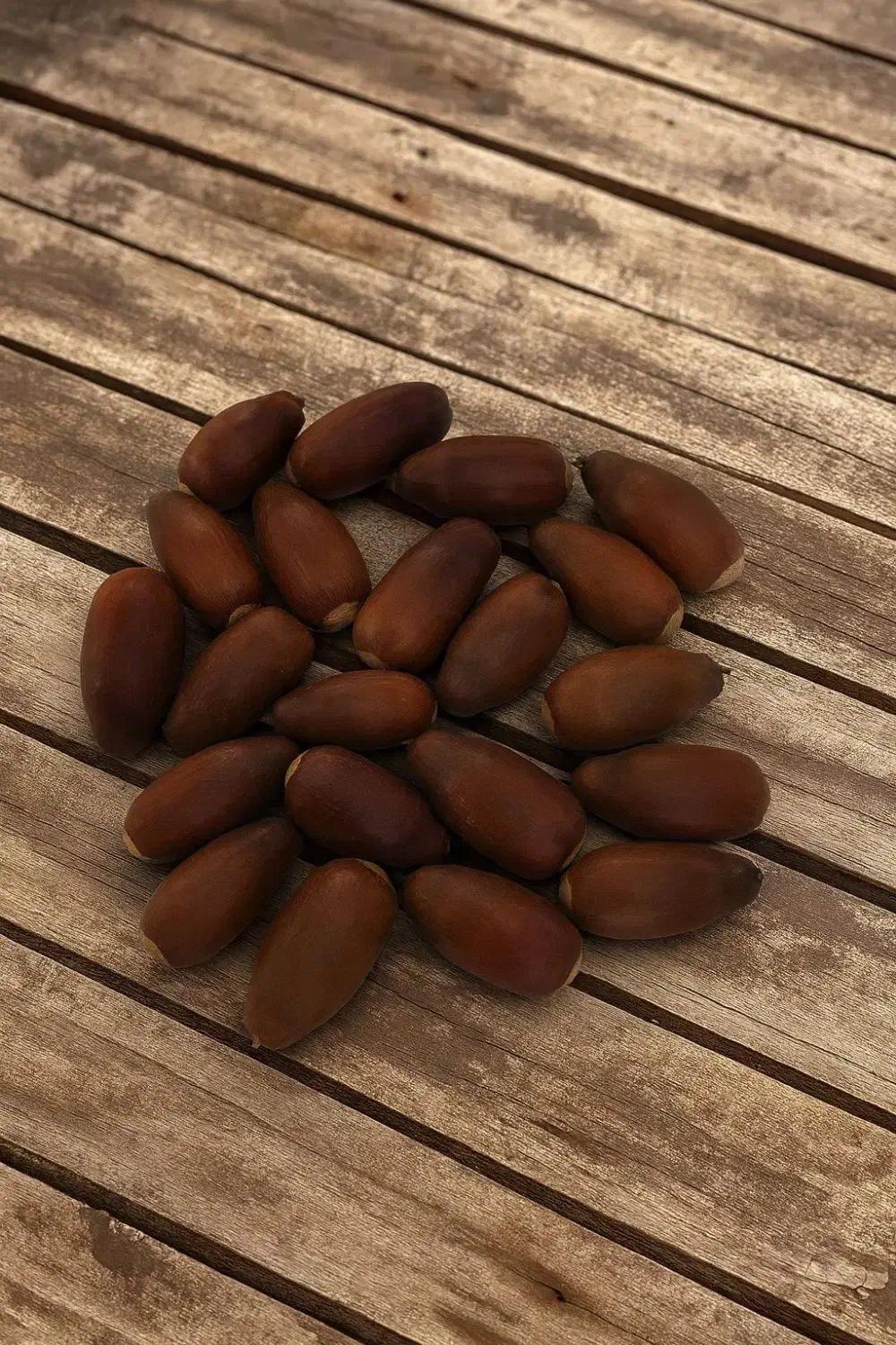 بلوط بسیار زیبا مناسب تزئین یلدا و خوراکی|خوردنی و آشامیدنی|کرج, عظیمیه|دیوار