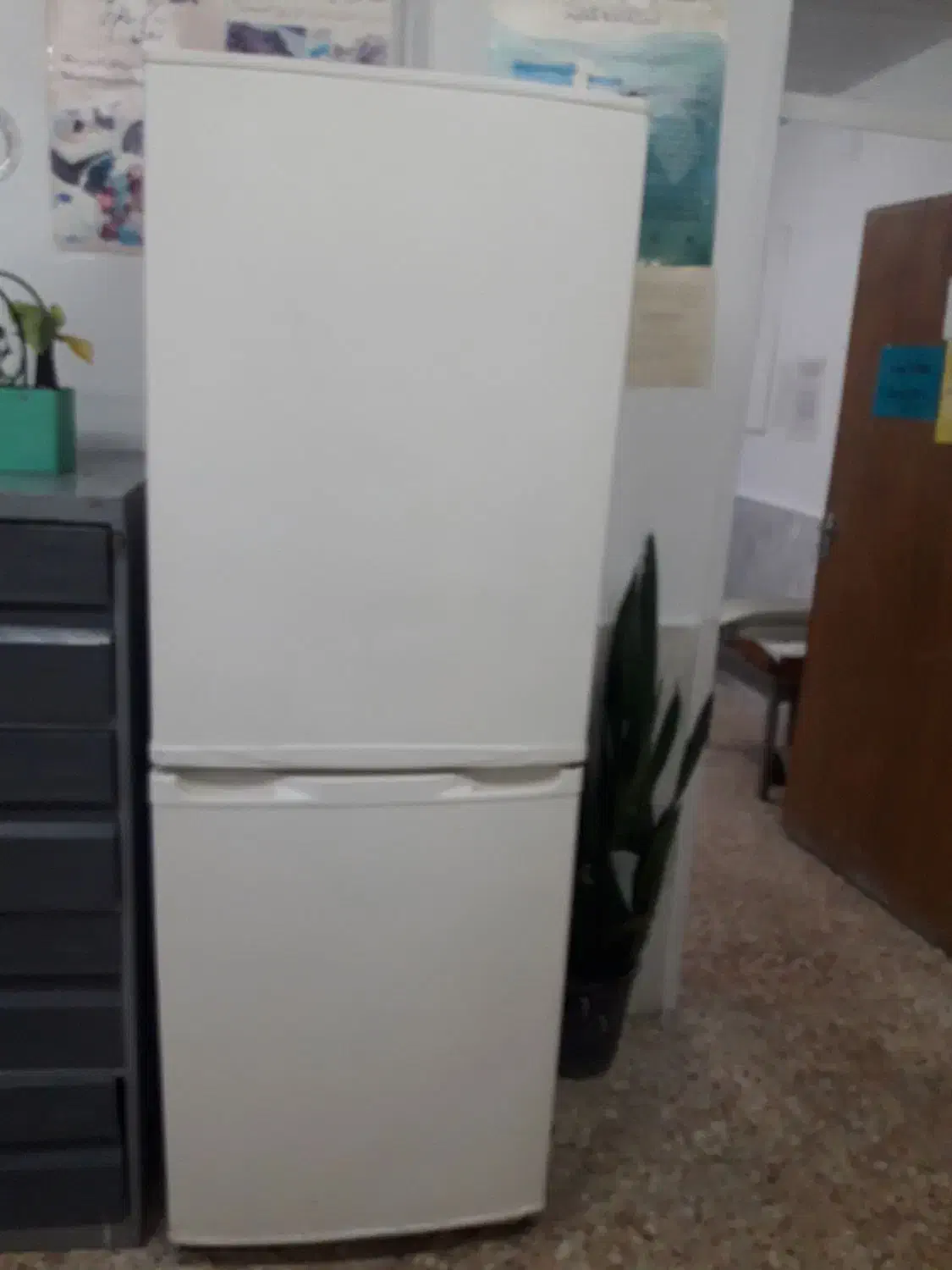 یخچال فریزر|یخچال و فریزر|زیباکنار, |دیوار