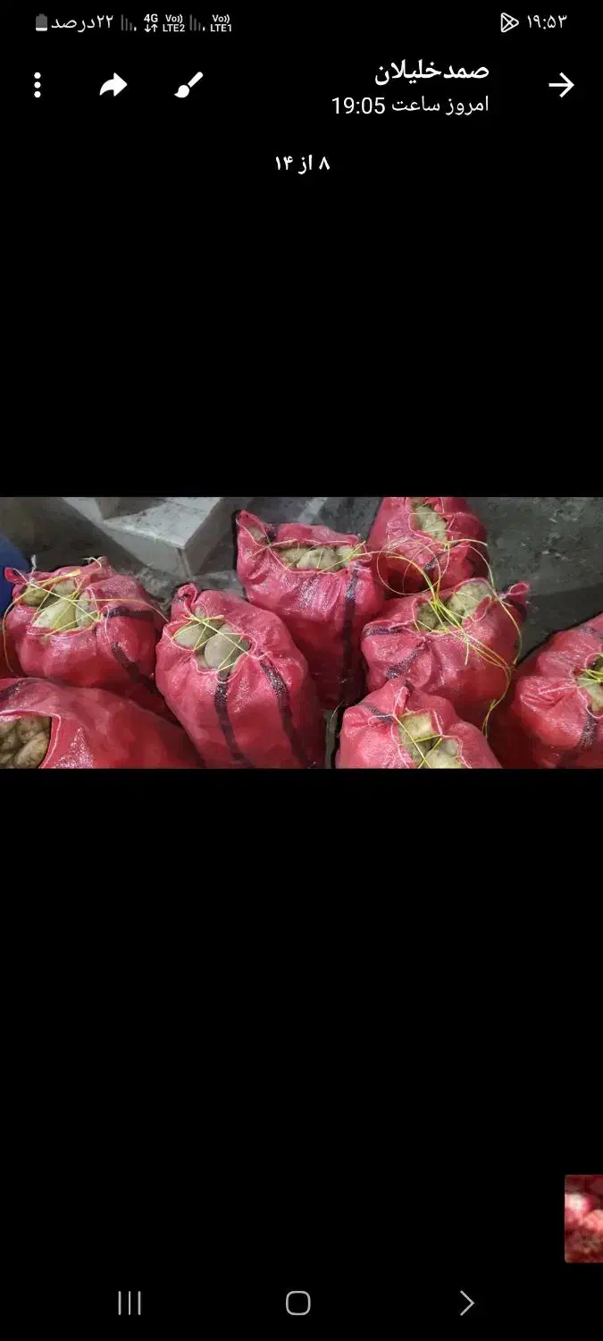 سیب زمینی جلی|خوردنی و آشامیدنی|زاغه, |دیوار