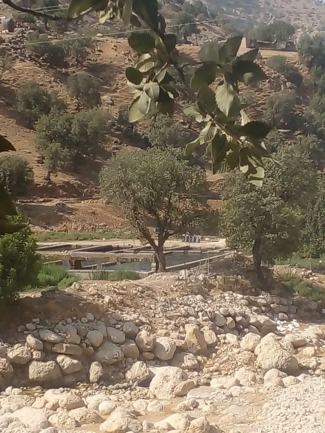 منزل طبقه بالا امکانات فول بردگپی|اجارهٔ آپارتمان|ایذه, |دیوار