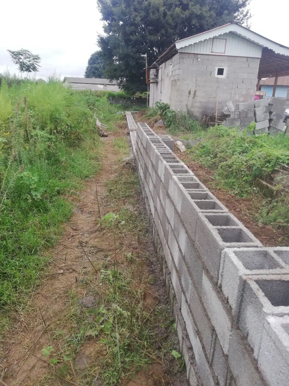 بنایی بلوک چینی سیمانکاری پی وسفیدکاری|خدمات پیشه و مهارت|ماسال, |دیوار