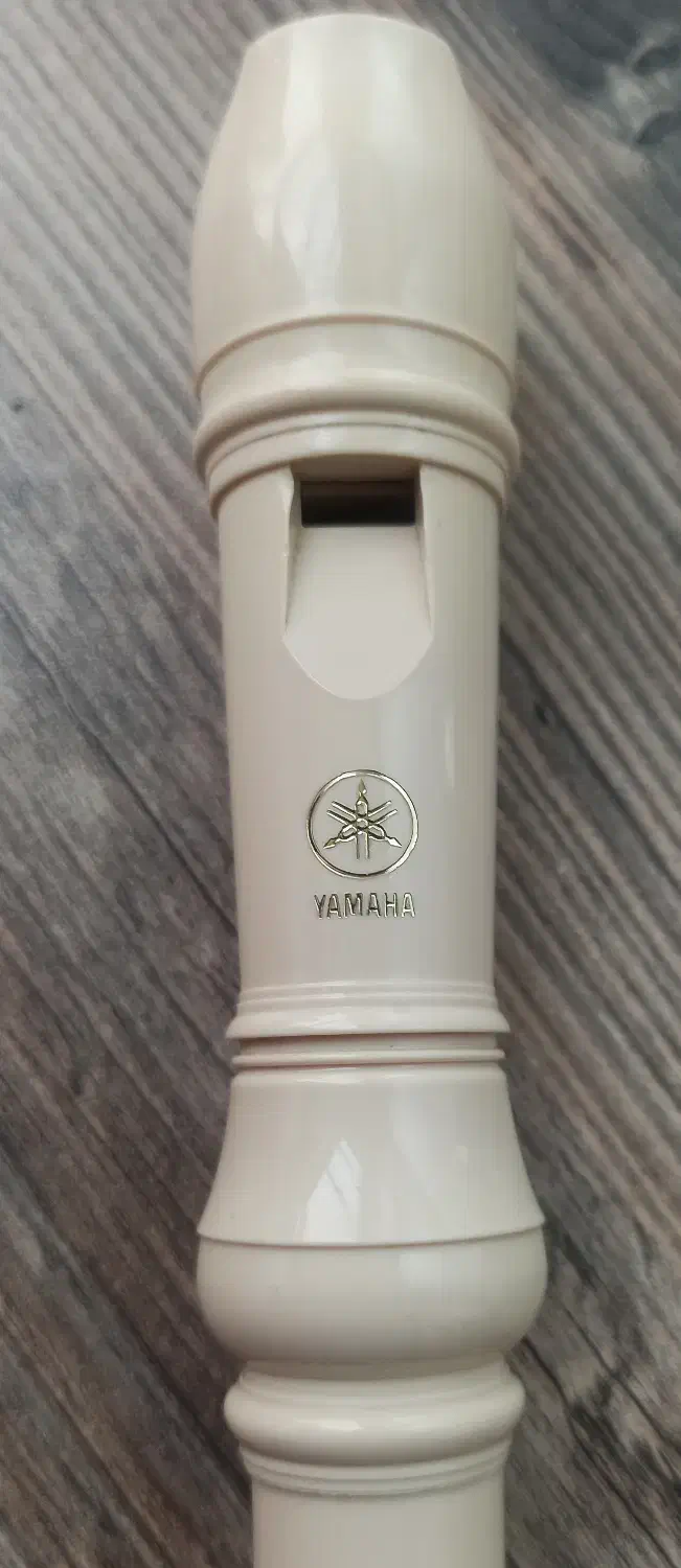 فلوت یاماها|سازهای بادی|قزوین, |دیوار