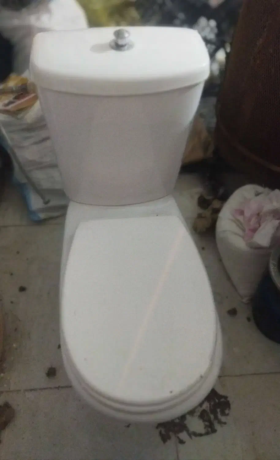 توالت فرنگی|لوازم سرویس بهداشتی|بیرجند, |دیوار