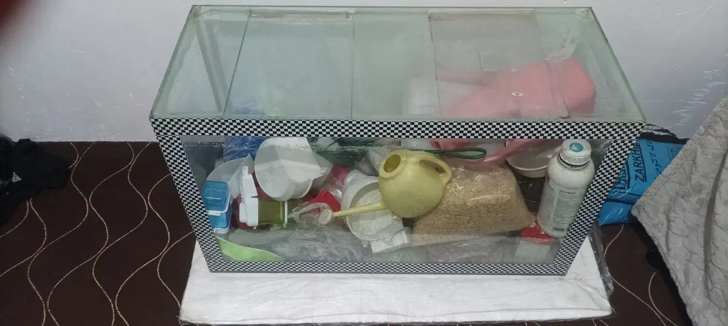 آکواریوم|ماهی|اصفهان, برازنده|دیوار