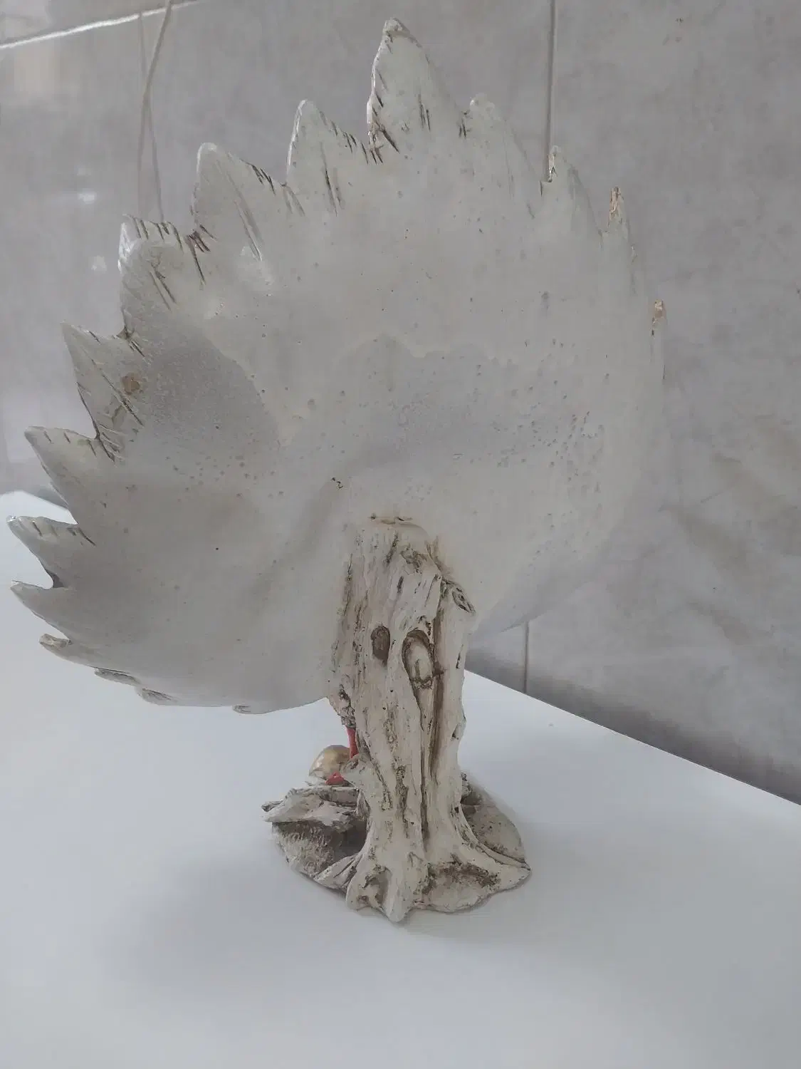 طاووس زیبا|مجسمه، تندیس، ماکت|کاشان, فاز ۲ ناجی آباد|دیوار