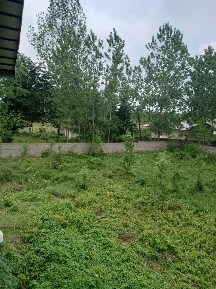 ویلای باغ ۲ هزار متری جاده ماسال|فروش خانه و ویلا|طاهرگوراب, |دیوار