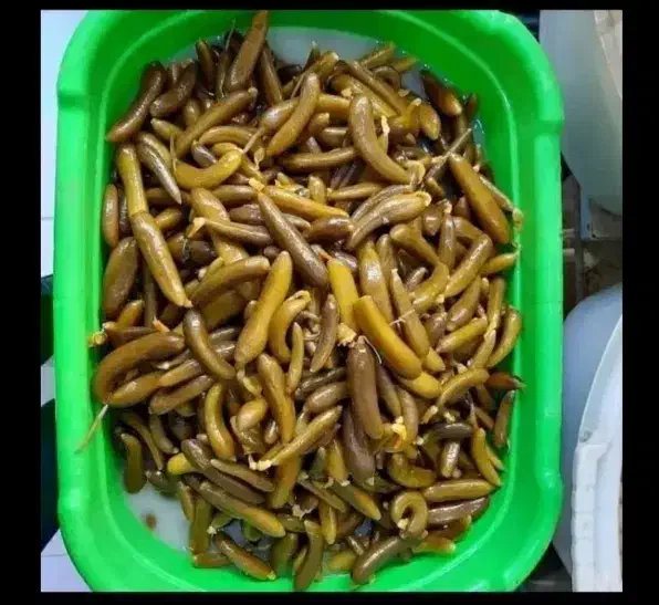 خیارشورهمدان درجه ۱ساندویچی|خوردنی و آشامیدنی|شوشتر, |دیوار