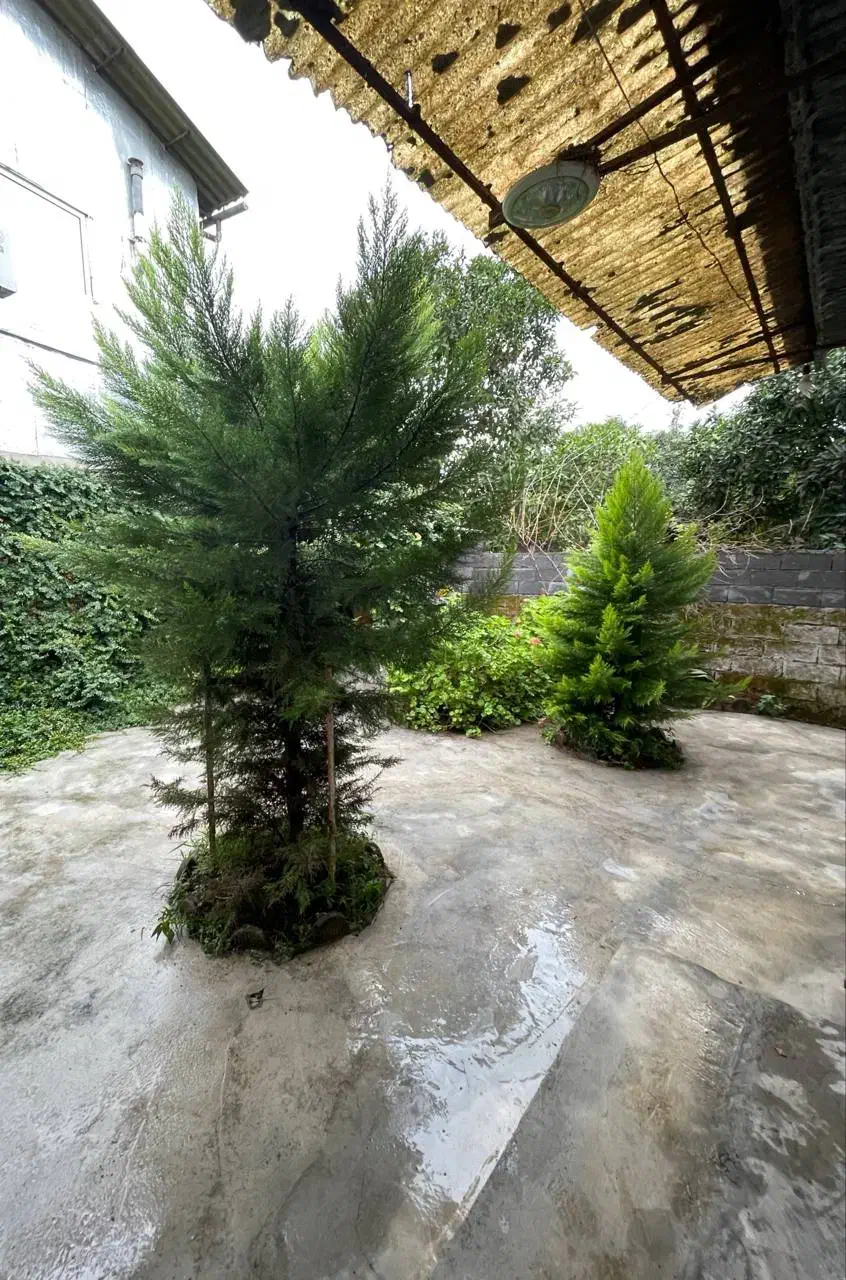 خونه کلنگی قابله استفاده فقط پو*ل زمین بده/نور|فروش زمین و ملک کلنگی|رامسر, |دیوار