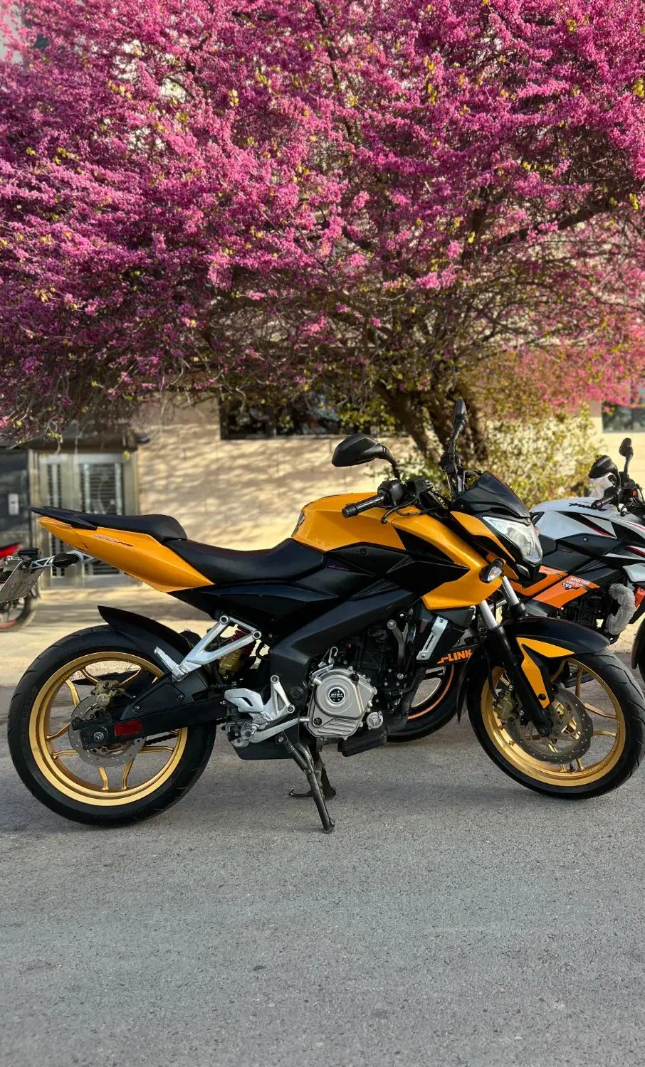 پالس ان اس 200|موتورسیکلت|شیراز, شهرک مفتح|دیوار