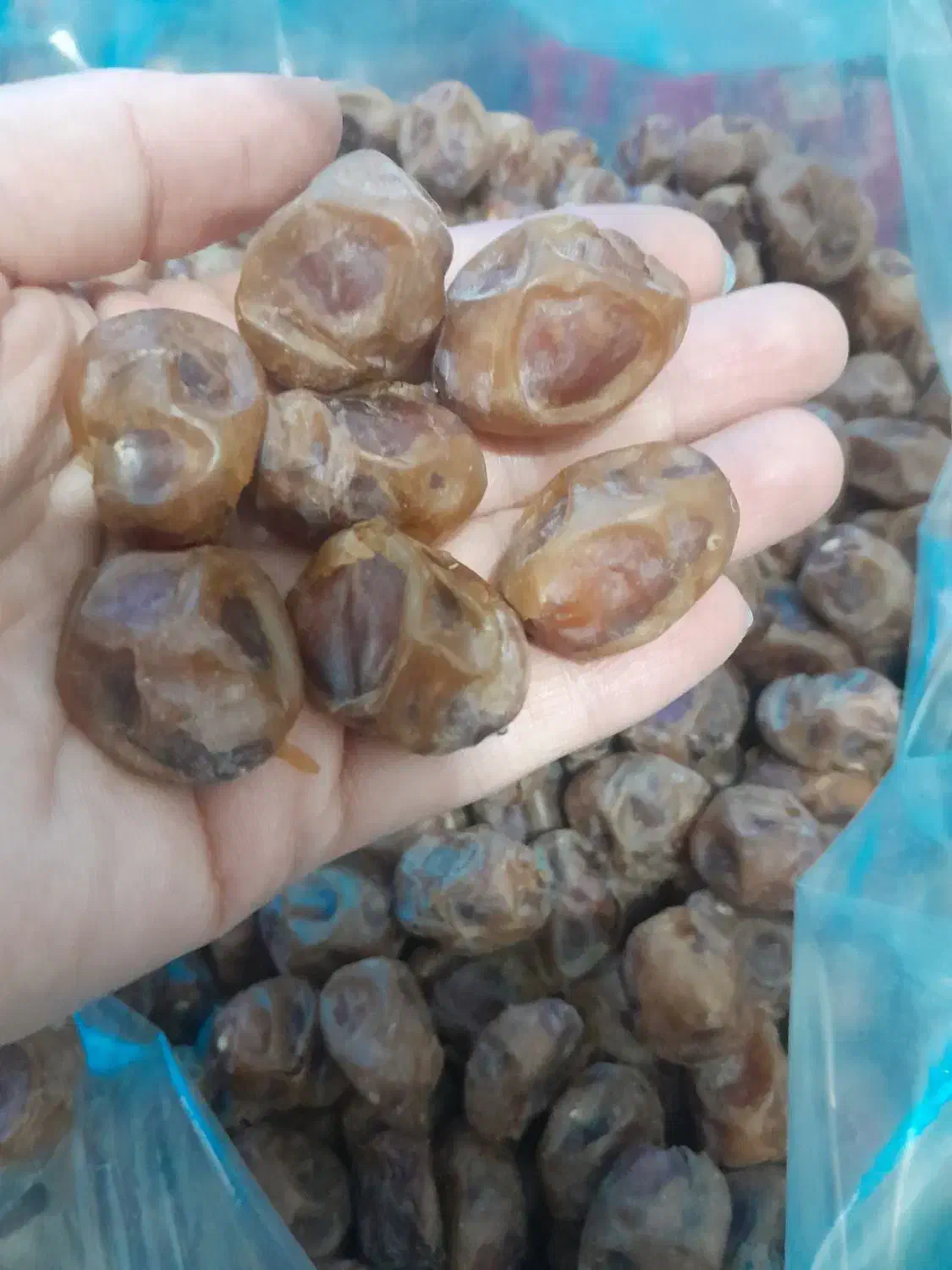 فرصتو دریاب|حراج|یزد, |دیوار