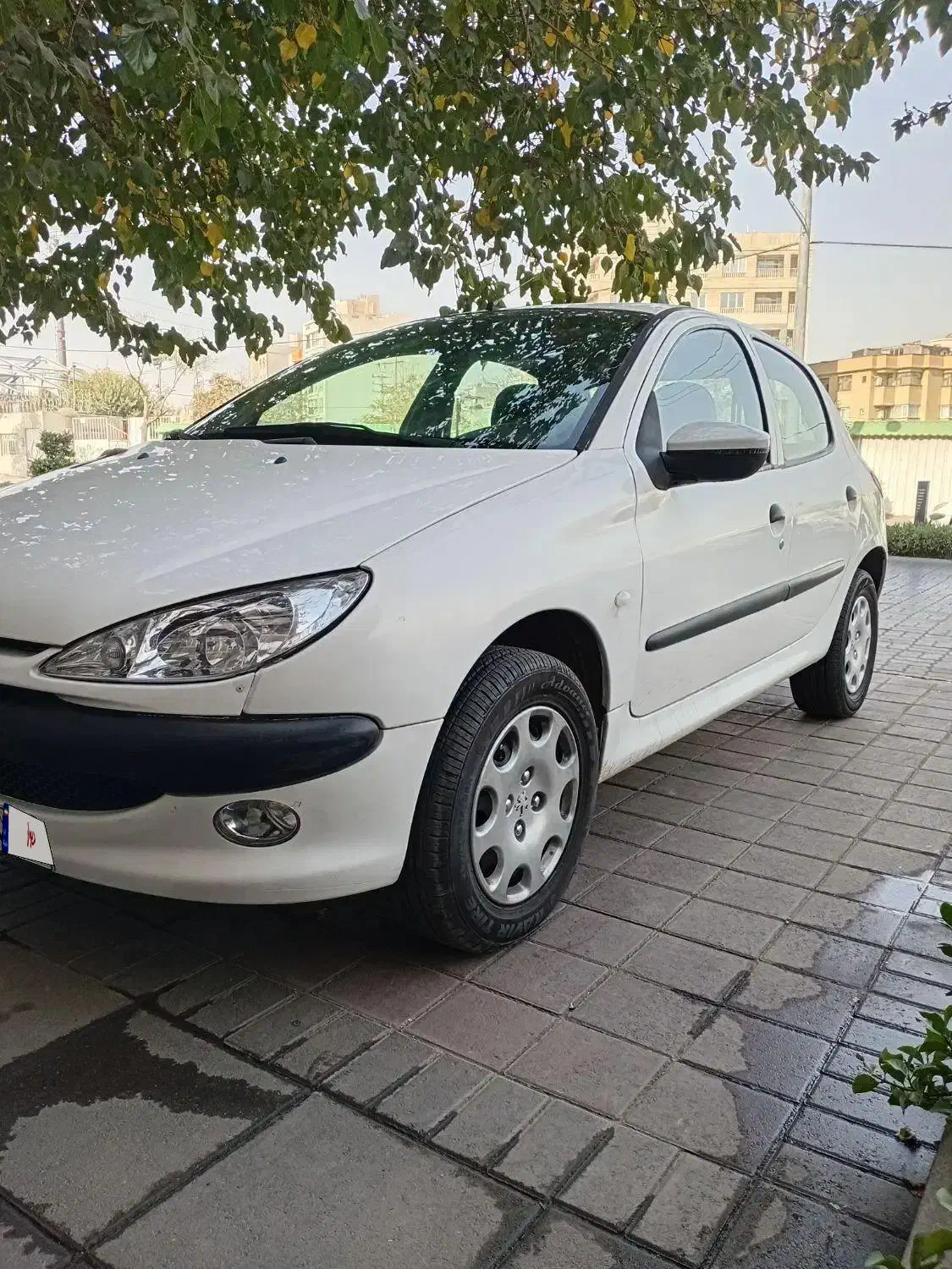 ۲۰۶ مدل ۸۷ درجه یک|خودرو سواری و وانت|مشهد, شریف|دیوار