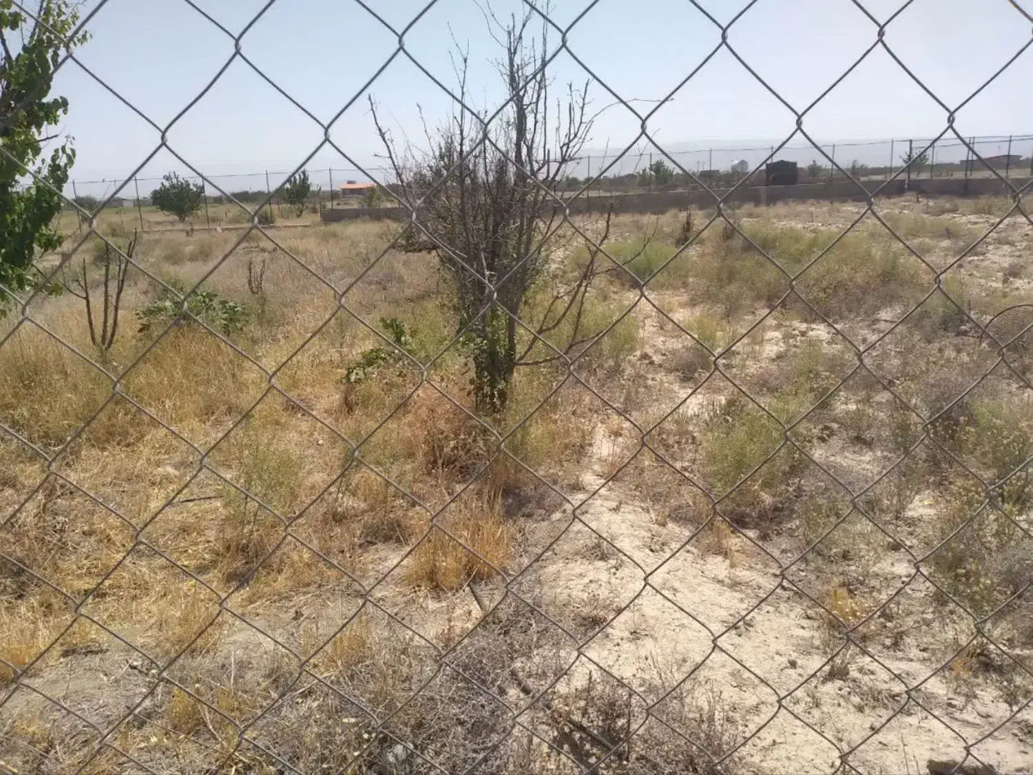 ۱۰۰۰مترزمین باغی محصور|فروش زمین و ملک کلنگی|گلبهار, نوبهار|دیوار