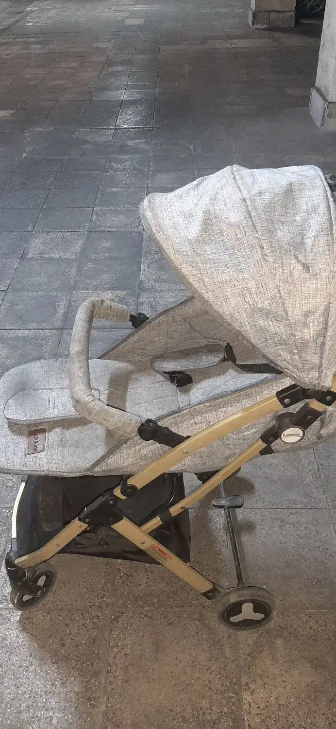 کالسکه  دلیجان|کالسکه و لوازم جانبی|تهران, آسمان|دیوار