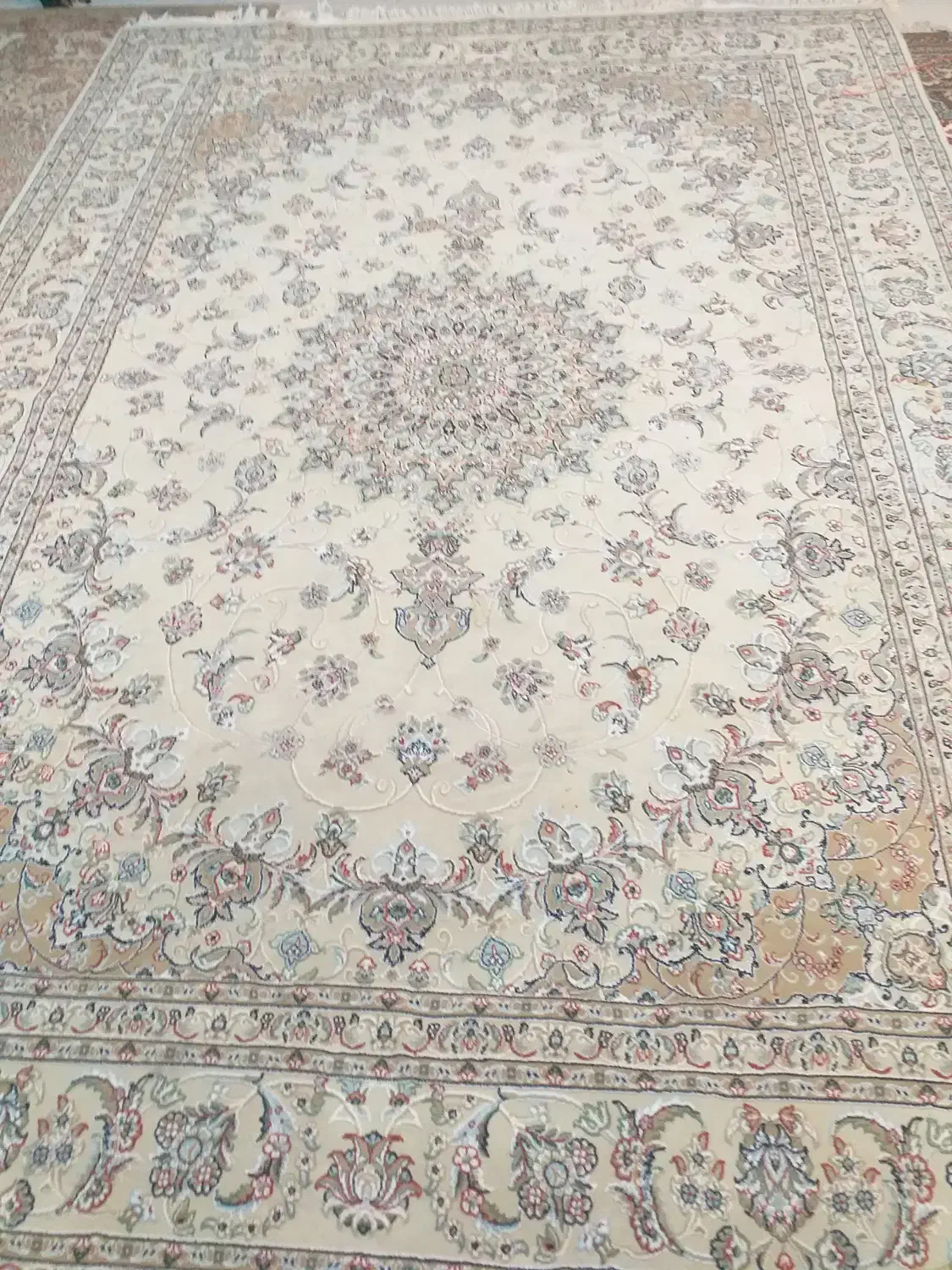 فرش۹متری نگین مشهد|فرش|یزد, |دیوار