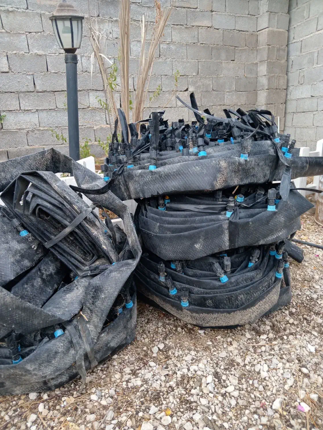 فروش لوله نخدار 2/5|خدمات باغبانی و درختکاری|برازجان, |دیوار