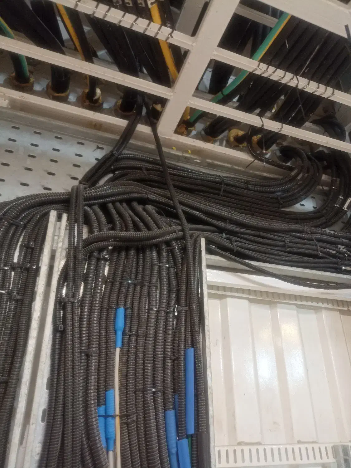 برقکار|خدمات پیشه و مهارت|میناب, |دیوار