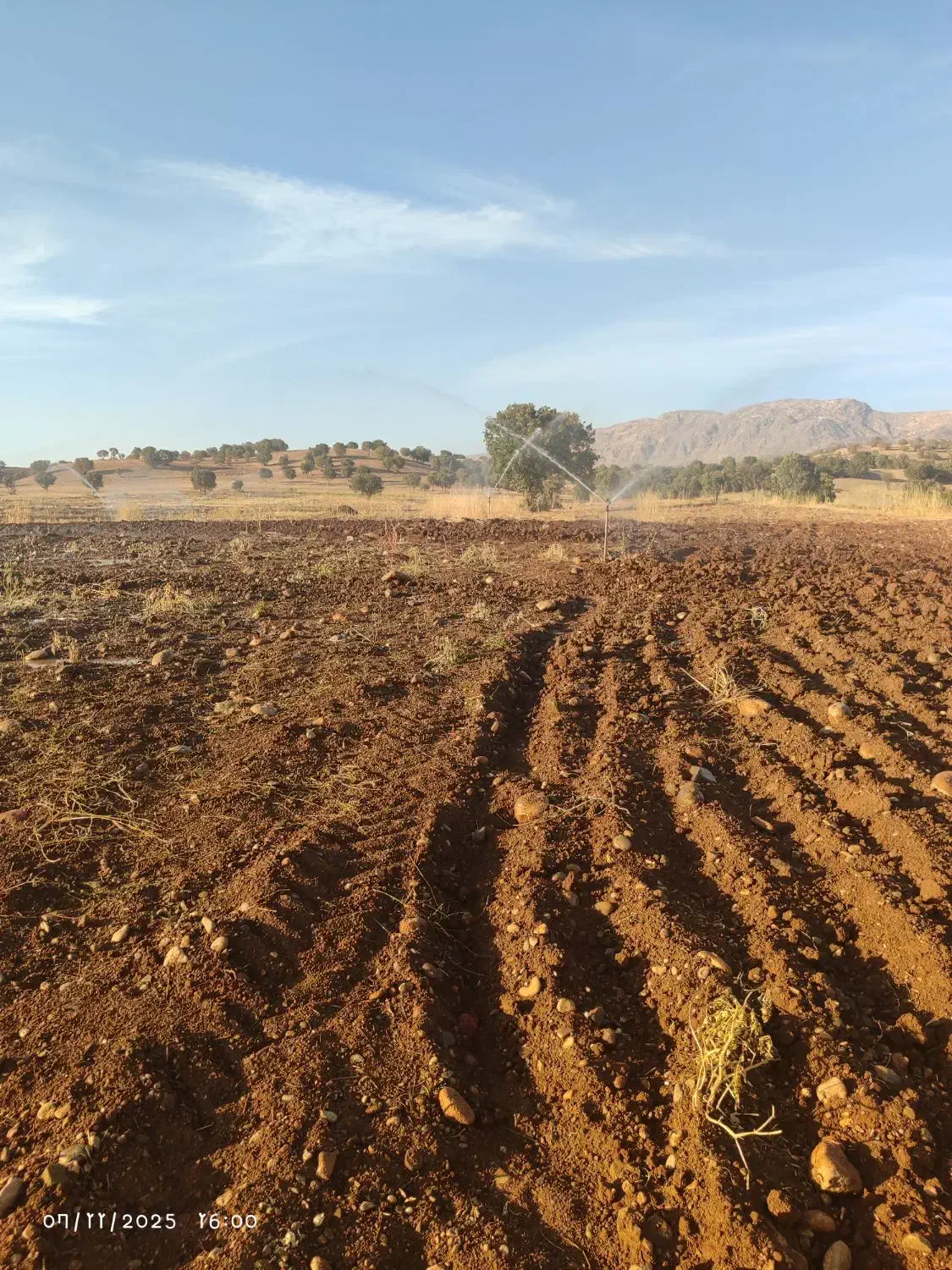 اجاره زمین کشاورزی|اجارهٔ دفتر صنعتی، کشاورزی، تجاری|شاهیوند, |دیوار