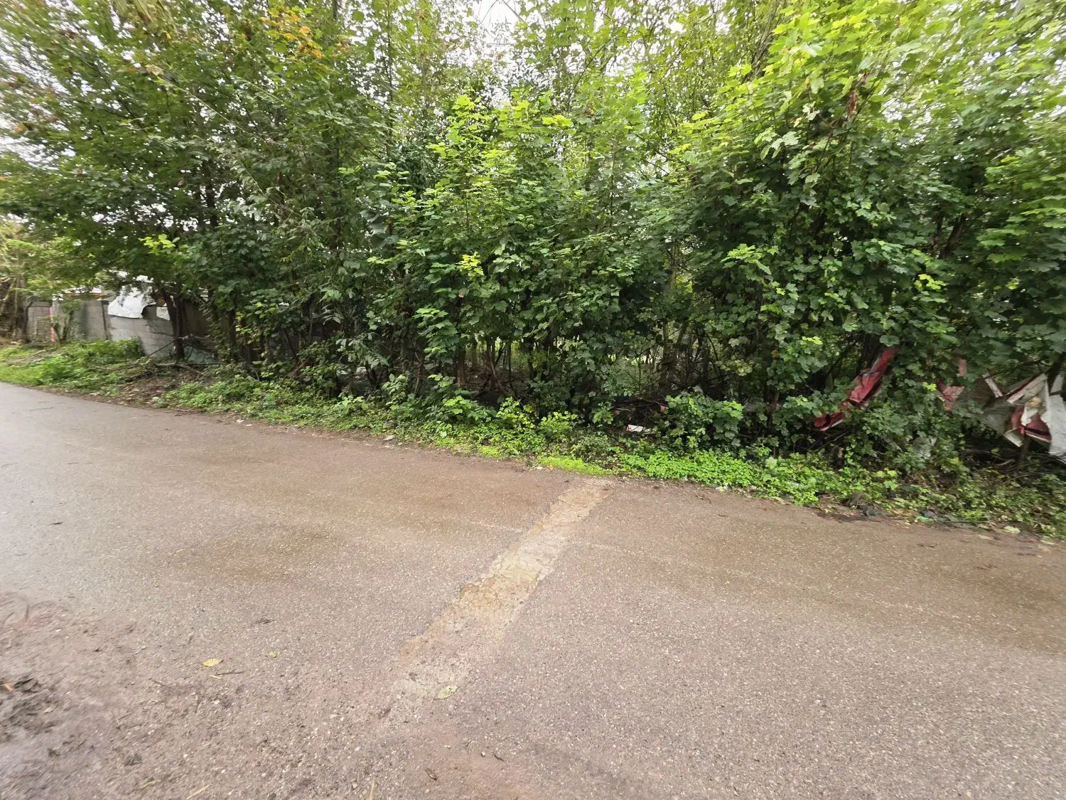 کدشخم/زمین مسکونی ۳۰۰متربرآسفالت بامجوزکوچصفهان|فروش زمین و ملک کلنگی|خشکبیجار, |دیوار