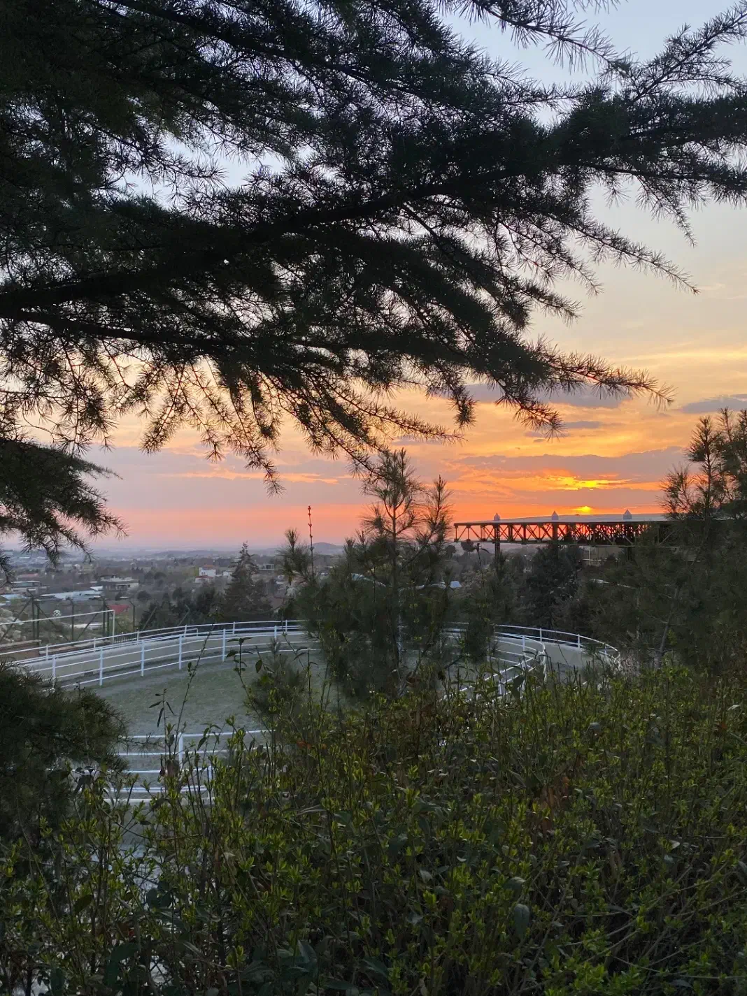 پانسیون و آموزش سوارکاری|اسب و تجهیزات اسب‌سواری|کوهسار (البرز), |دیوار