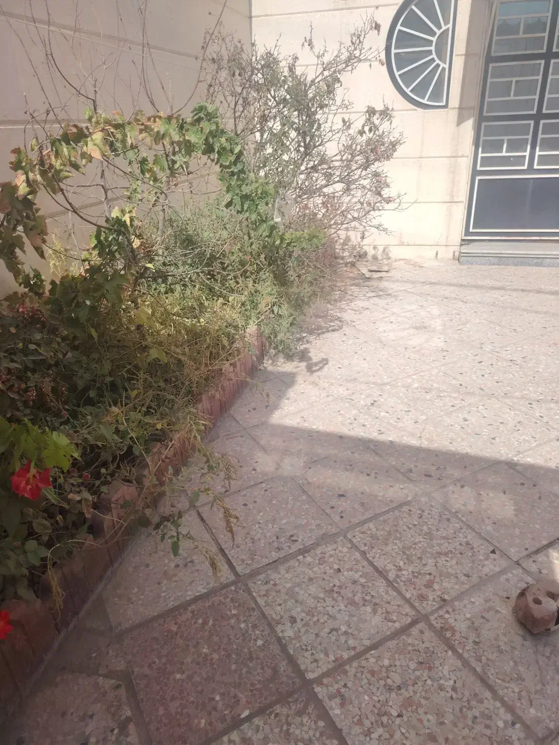 اجاره آپارتمان در میدان حافظ|اجارهٔ آپارتمان|نیشابور, میدان حافظ|دیوار