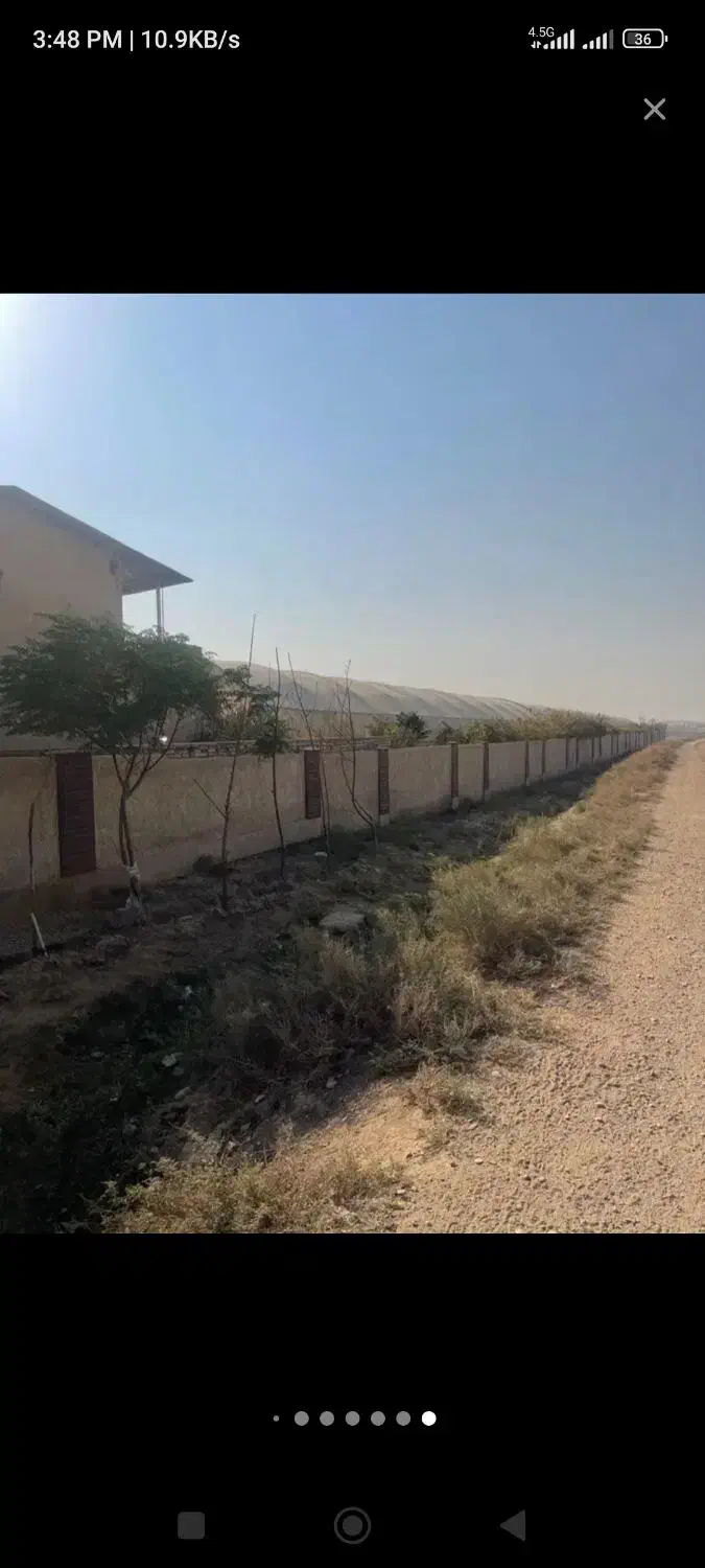 اجاره گلخانه 6000 متر فول جاده ابباریک|اجارهٔ دفتر صنعتی، کشاورزی، تجاری|جوادآباد, |دیوار