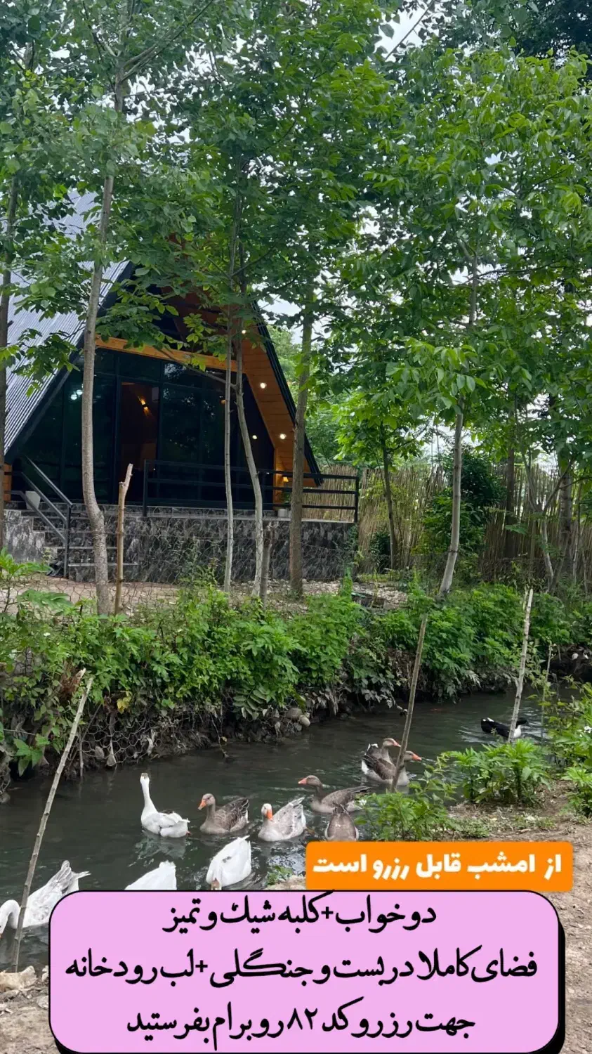 کلبه سوئیسی نوساز لب رودخانه در ماسال|اجارهٔ کوتاهمدت ویلا و باغ|ماسال, |دیوار